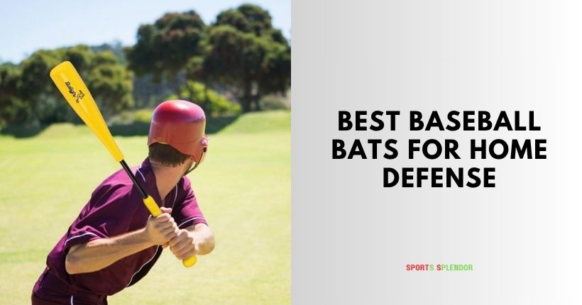 best baseball bats for home defense