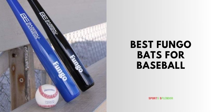 best fungo bats for baseball