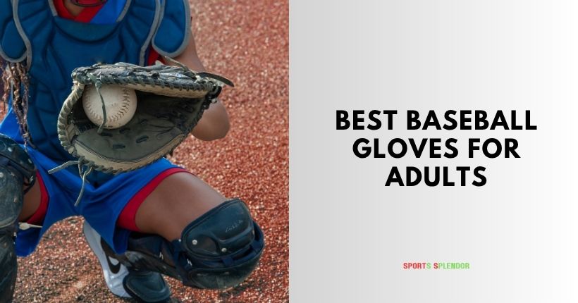 best baseball gloves for adults